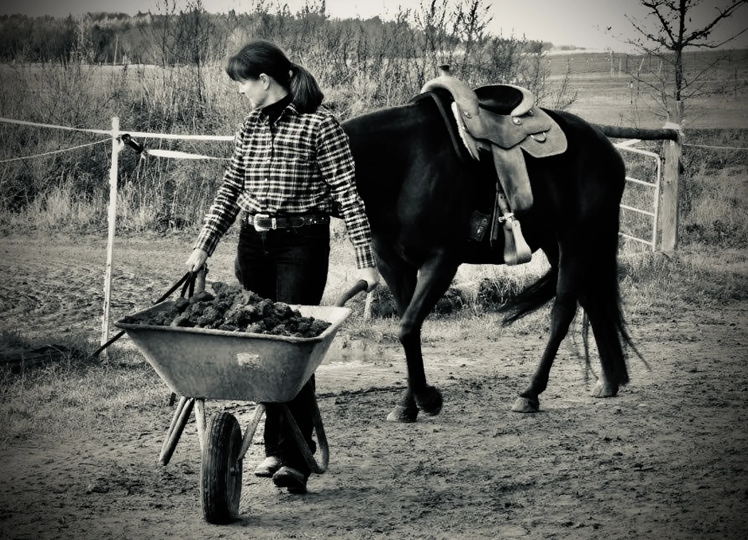 Micky Kayser von Trainings- und Pensionsstall Kayser