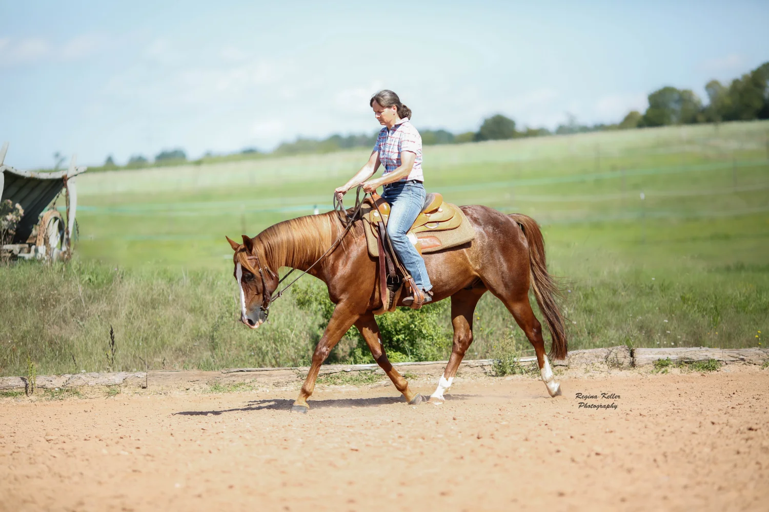 Frau reitet auf einem PferdTrainings- und Pensionsstall Kayser von Michaela Kayser