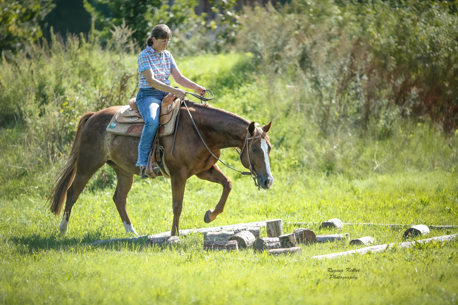 Frau reitet auf einem PferdTrainings- und Pensionsstall Kayser von Michaela Kayser