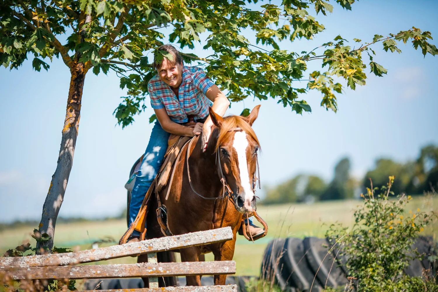 Frau reitet auf einem PferdTrainings- und Pensionsstall Kayser von Michaela Kayser