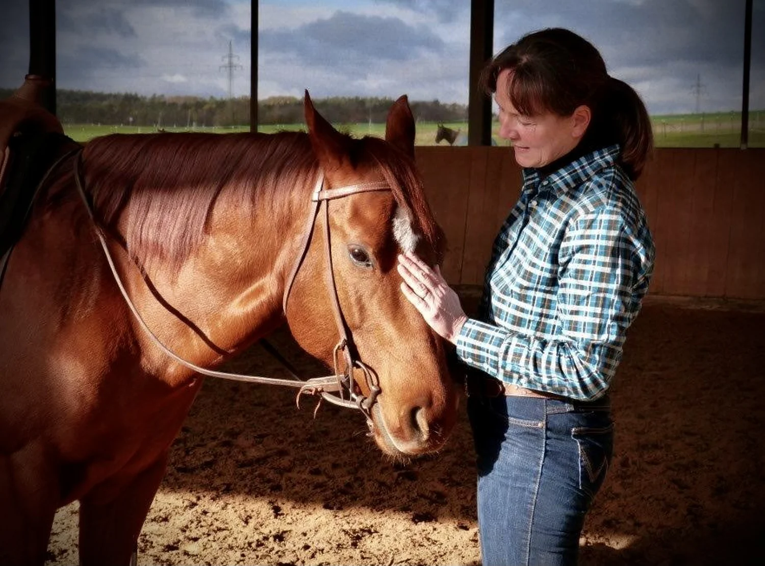 Pferde Trainings- und Pensionsstall Kayser von Michaela Kayser