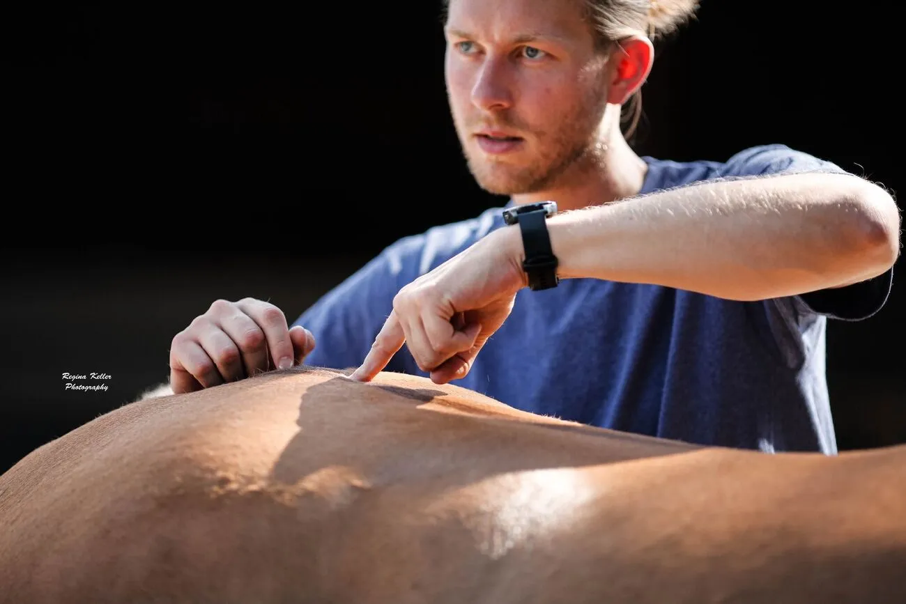 Kurse mit externen Referenten Trainings- und Pensionsstall Kayser