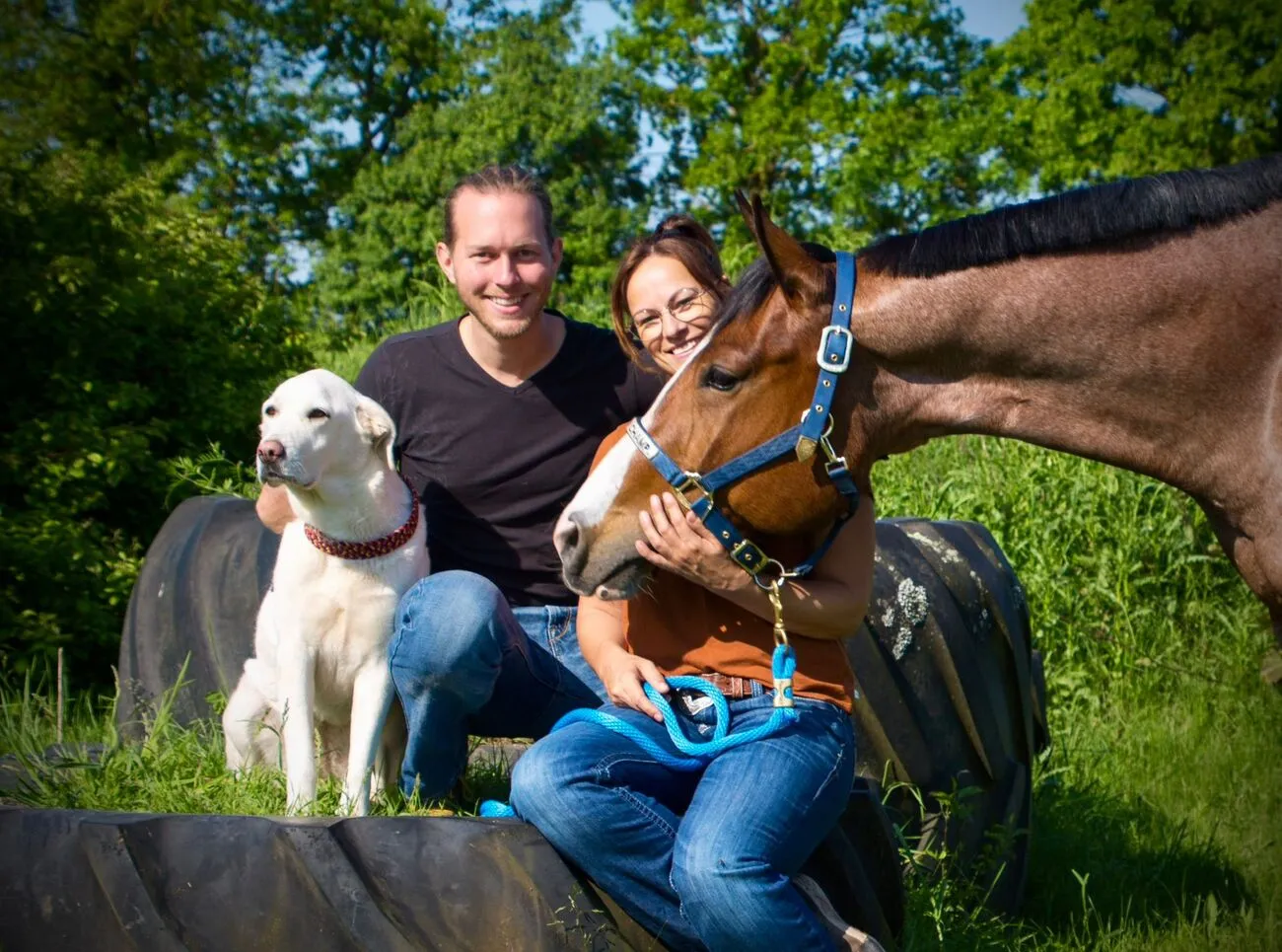 Kurse mit externen Referenten Trainings- und Pensionsstall Kayser
