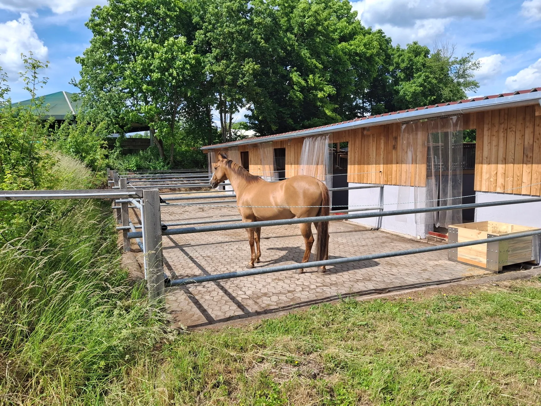 Pferde Trainings- und Pensionsstall Kayser von Michaela Kayser