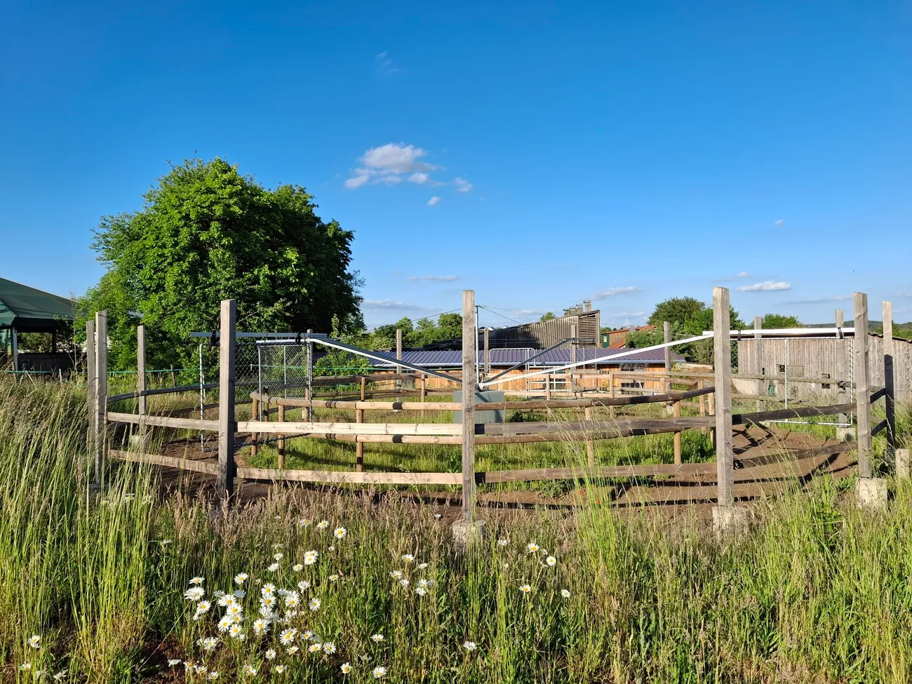 Pferde Trainings- und Pensionsstall Kayser von Michaela Kayser