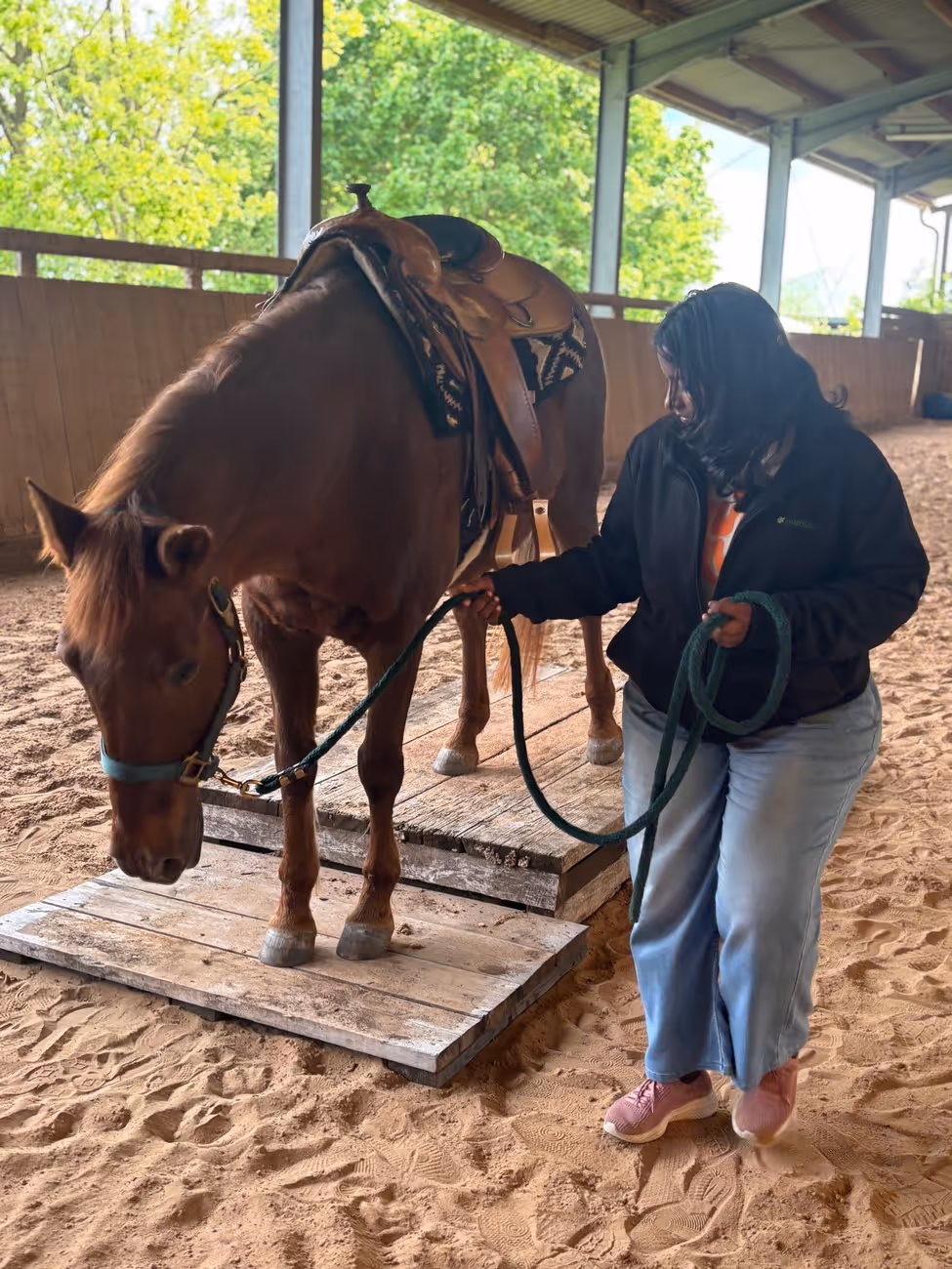 Nikolaustour/St. Martin – soziales Engagement in der GemeindeTrainings- und Pensionsstall Kayser...