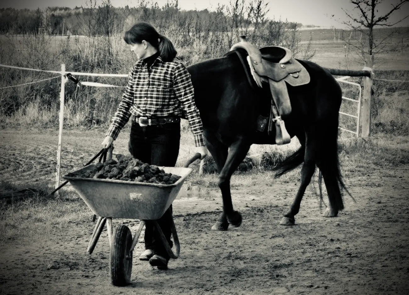 Micky Kayser mit Pferden von Trainings- und Pensionsstall Kayser