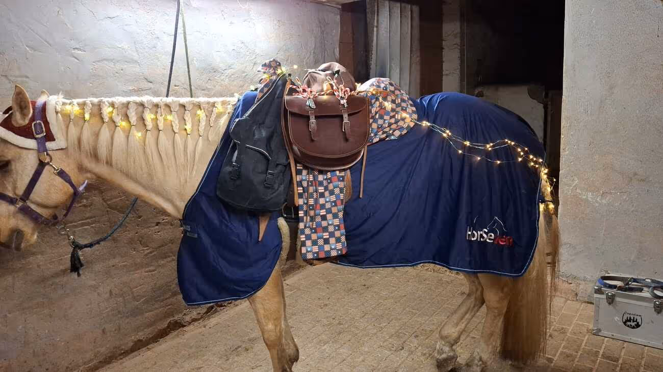 Nikolaustour/St. Martin – soziales Engagement in der GemeindeTrainings- und Pensionsstall Kayser