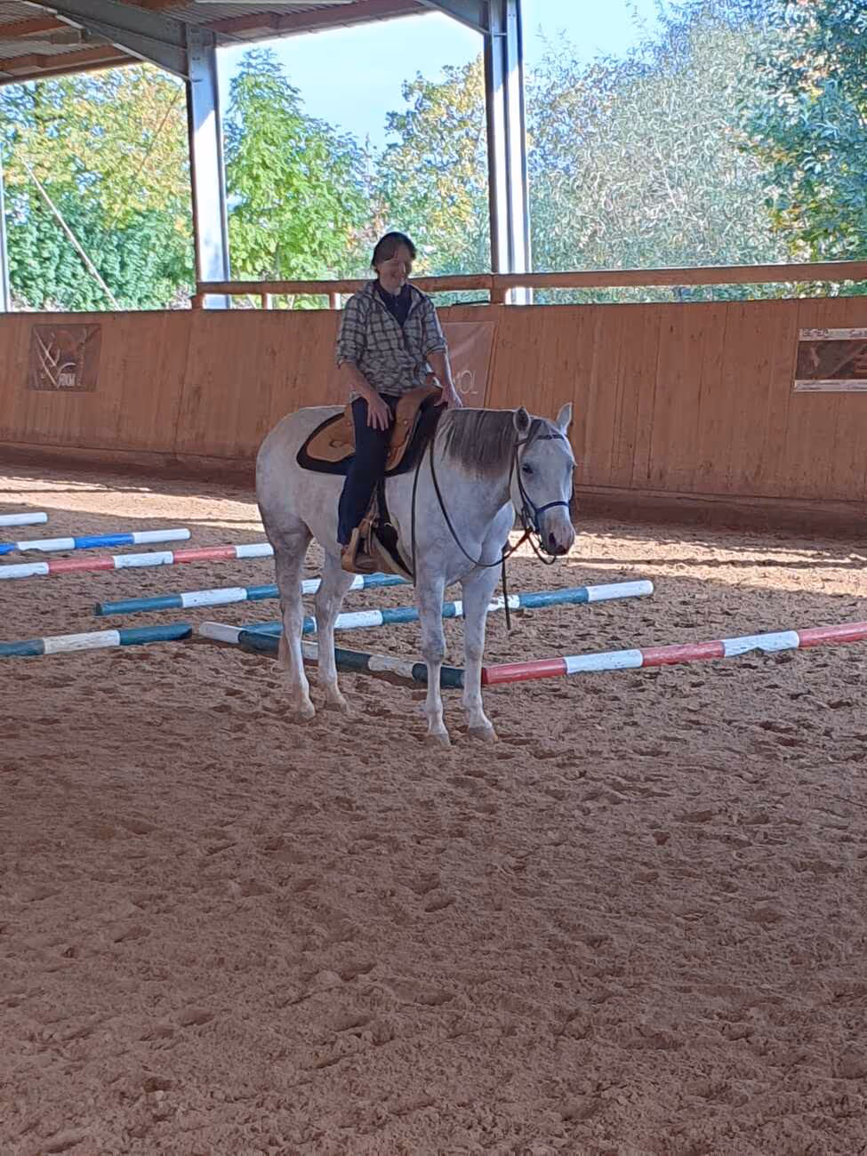 Mann reitet auf einem PferdTrainings- und Pensionsstall Kayser von Michaela Kayser