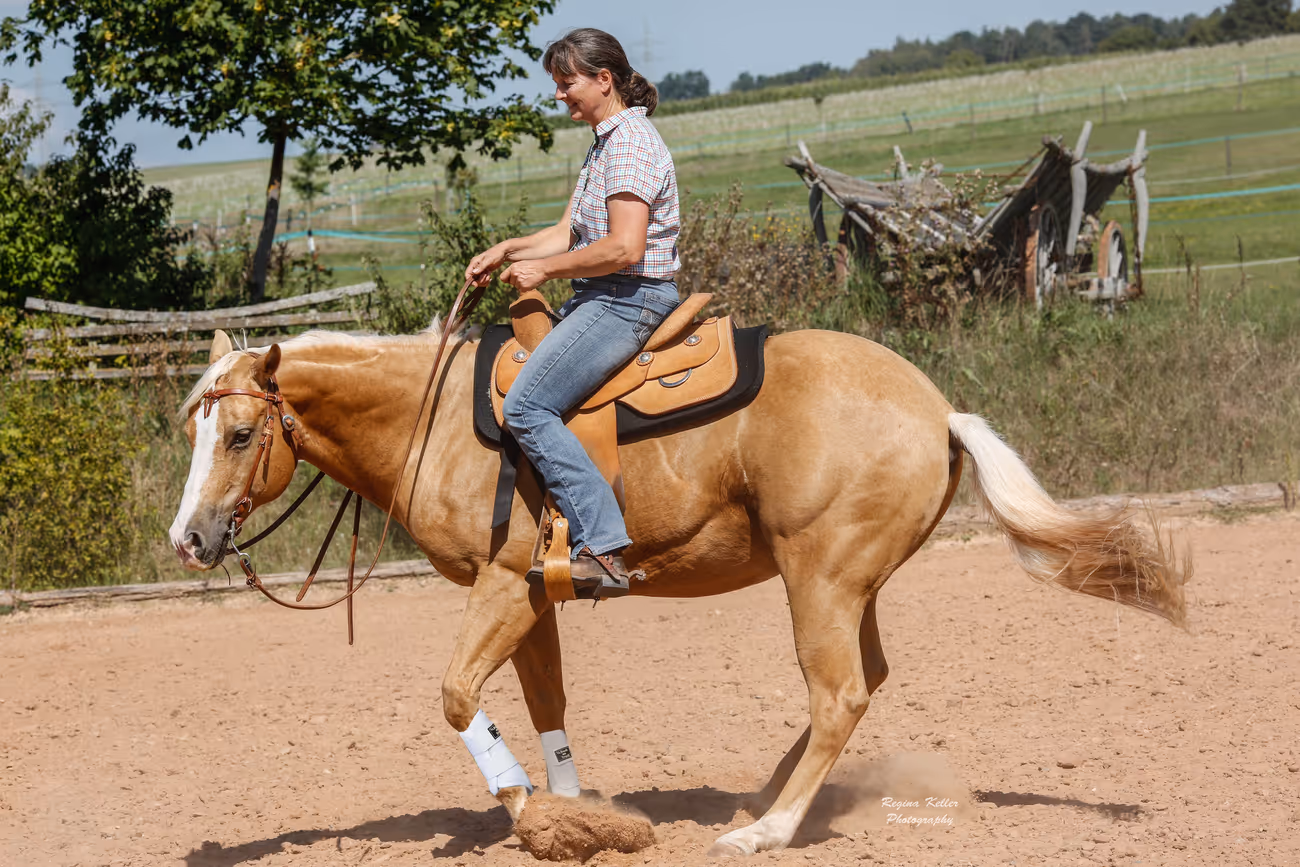 Frau reitet auf einem Pferd Trainings- und Pensionsstall Kayser von Michaela Kayser