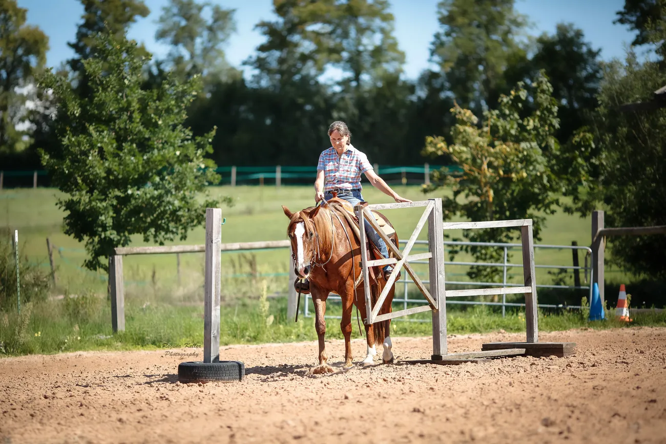 Frau und Mann reiten auf einem PferdTrainings- und Pensionsstall Kayser von Michaela Kayser