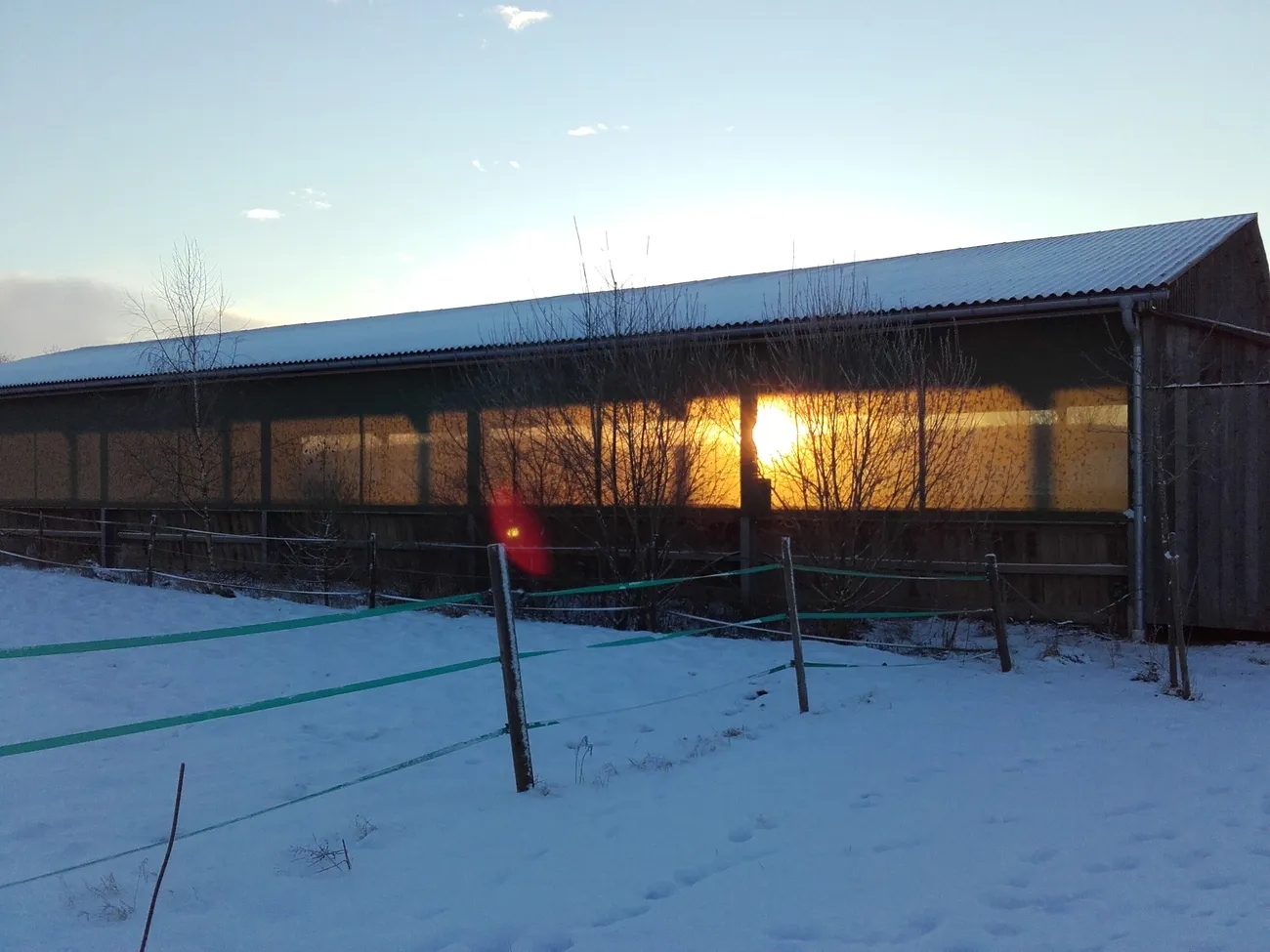 Ziege Trainings- und Pensionsstall Kayser von Michaela Kayser