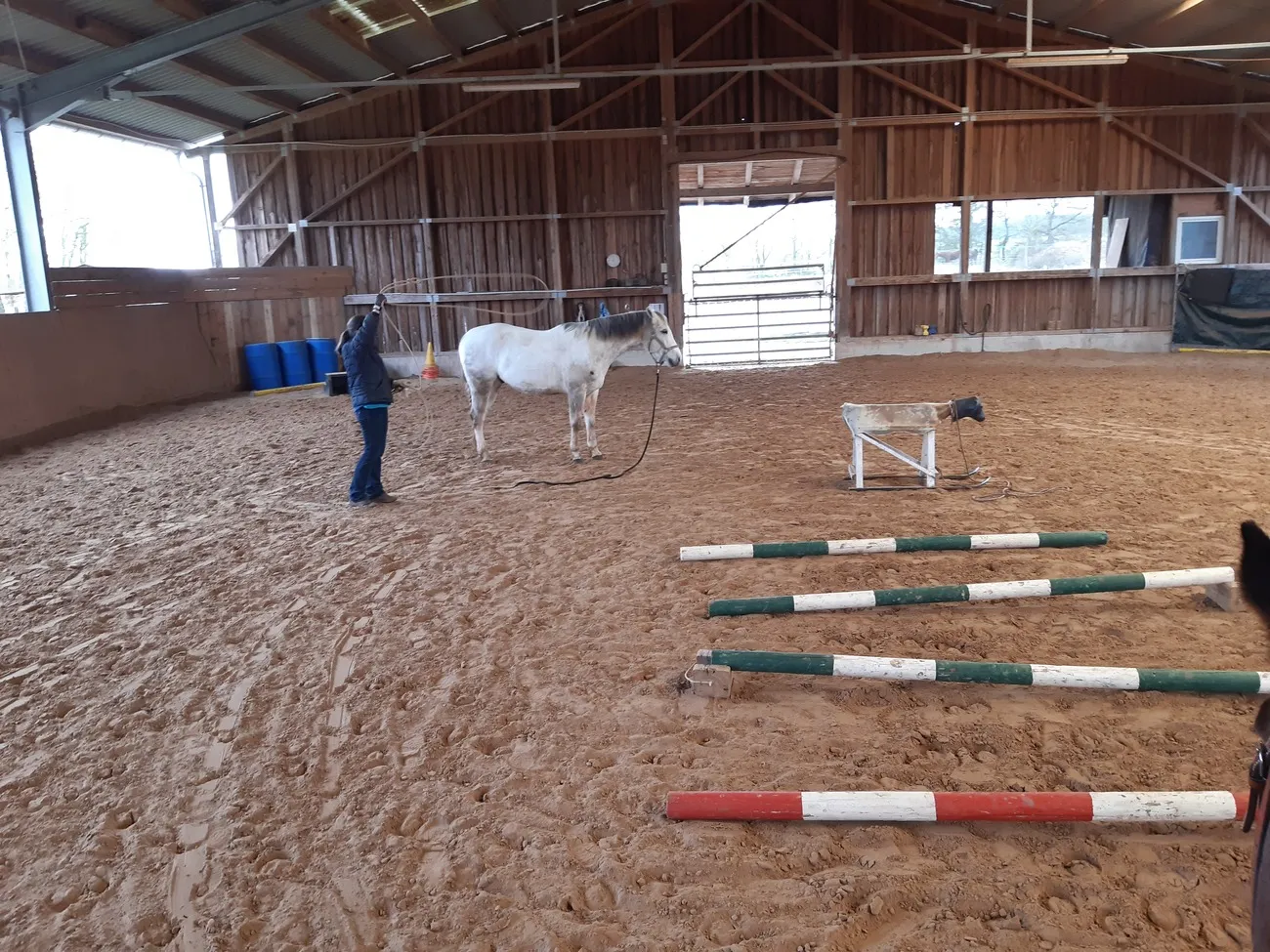 Ziege Trainings- und Pensionsstall Kayser von Michaela Kayser