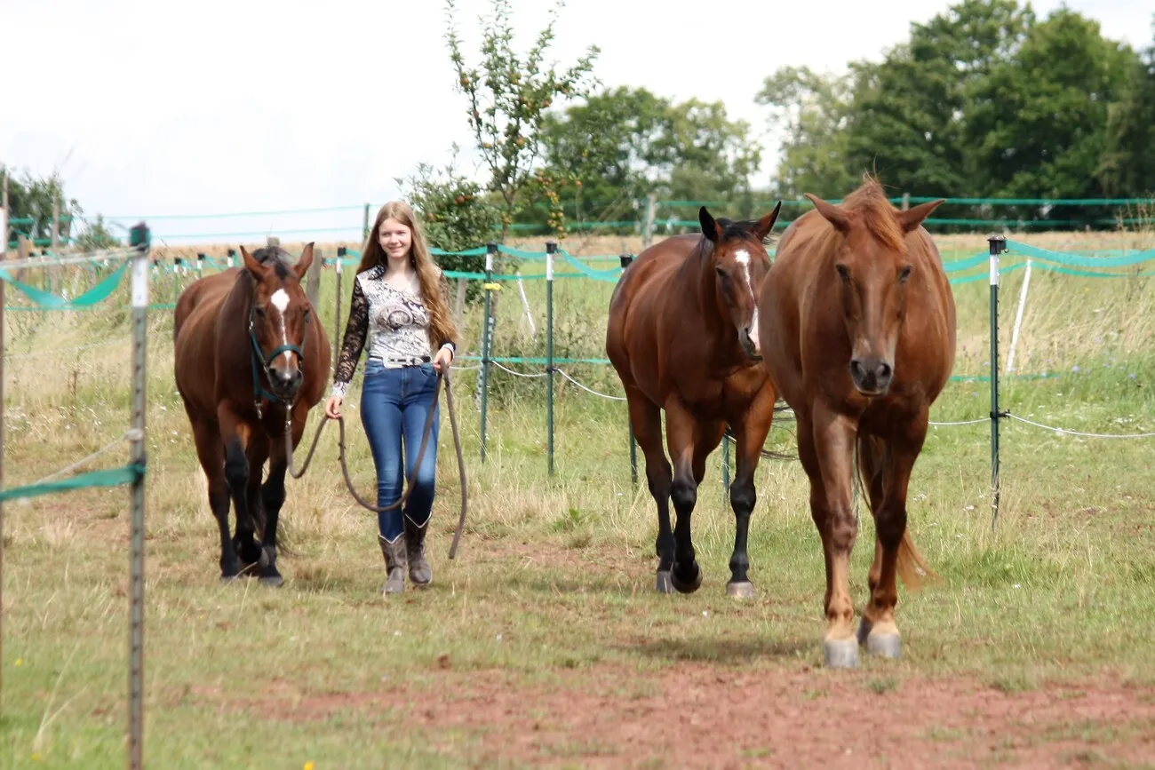 Pferde Trainings- und Pensionsstall Kayser von Michaela Kayser