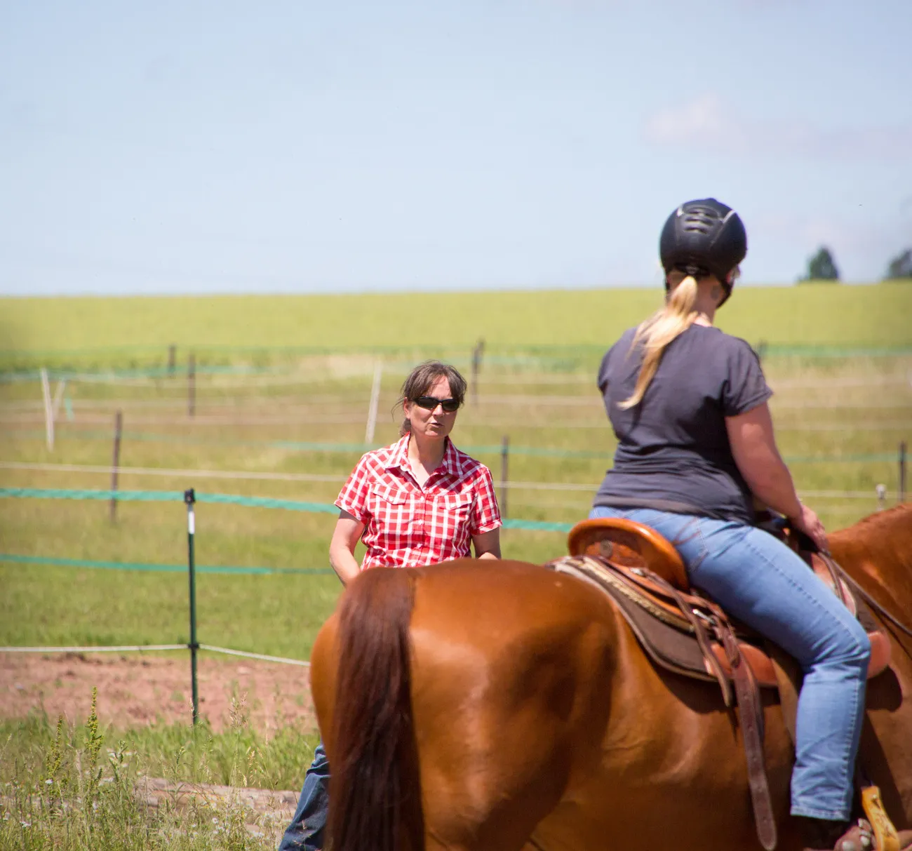 Frau reitet auf einem PferdTrainings- und Pensionsstall Kayser von Michaela Kayser