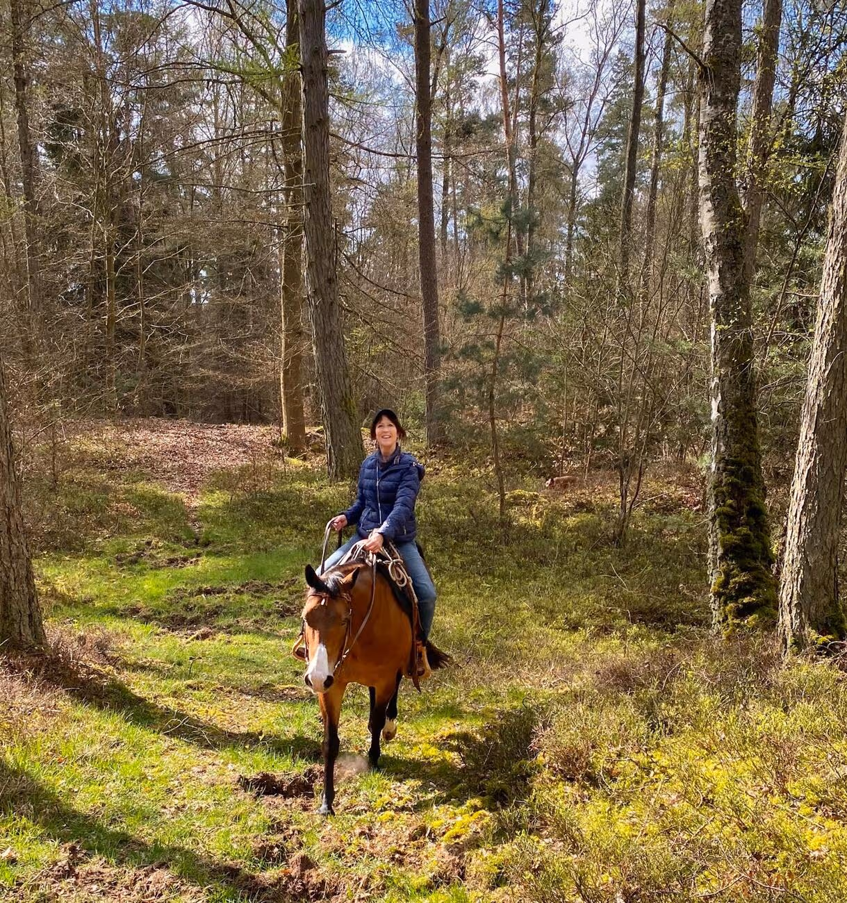 Reitende Frau Trainings- und Pensionsstall Kayser von Michaela Kayser