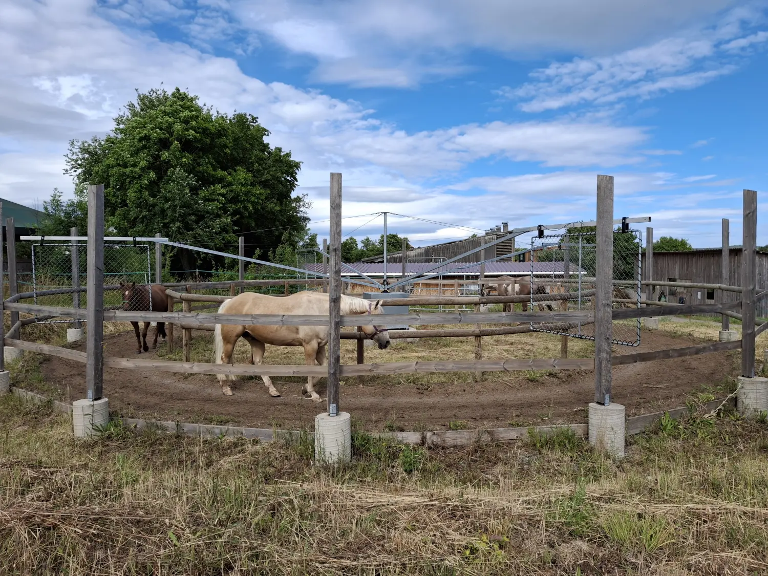 Pferde Trainings- und Pensionsfeld von Michaela Kayser