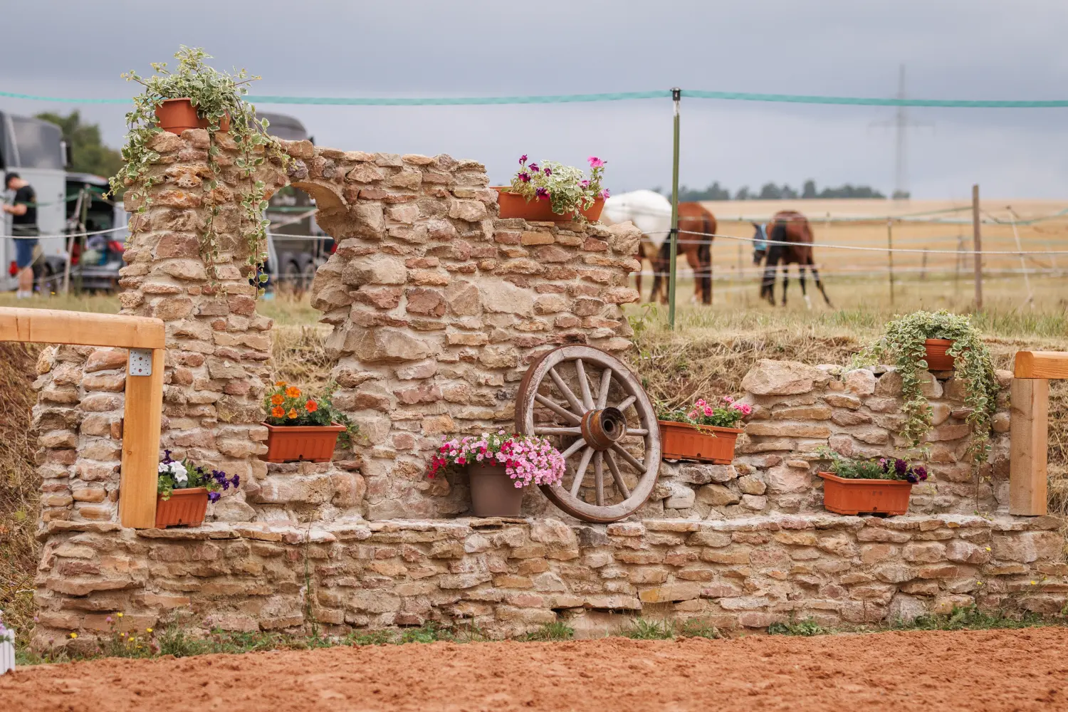 Trainings- und Pensionsstall Kayser von Michaela Kayser