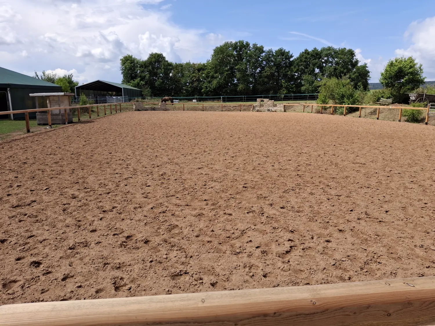 Pferde Trainings- und Pensionsfeld von Michaela Kayser