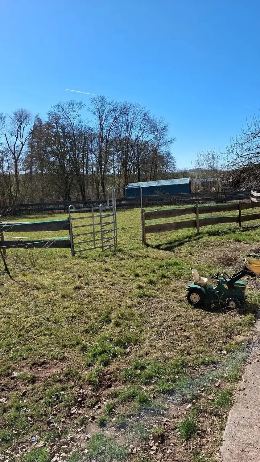 Pferde Trainings- und Pensionsstall Kayser von Michaela Kayser