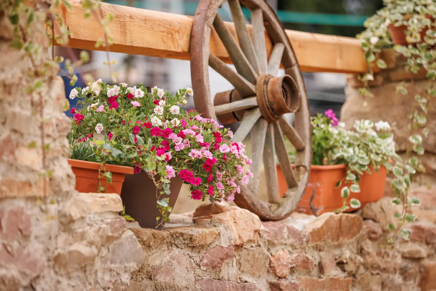 Trainings- und Pensionsstall Kayser von Michaela Kayser